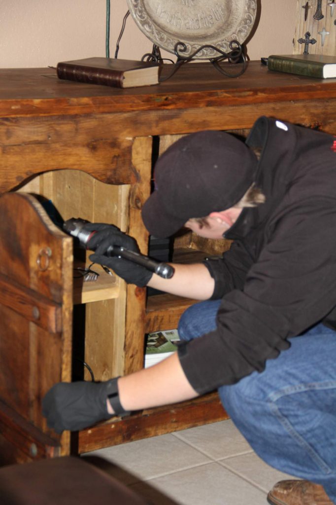 bedbug inspection services for home or commercial space