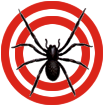pest control for spiders