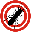 pest control for termites